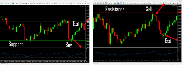 What is forex trading